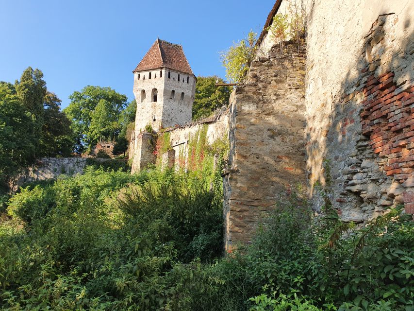 Small Group 2 Days in Transylvania - Overnight Sighisoara - Tour Description