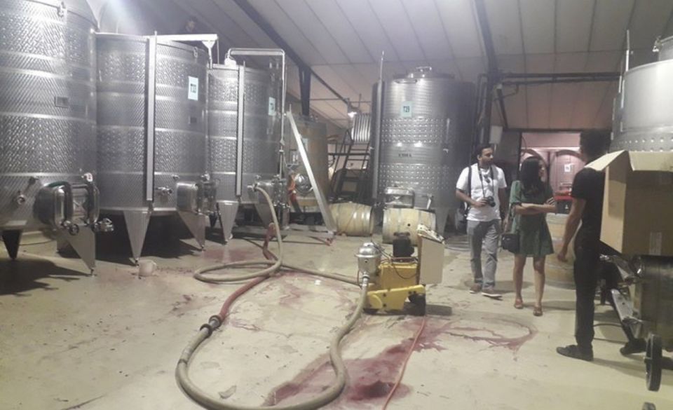Stellenbosch: Half-Day Wine Tour - Common questions
