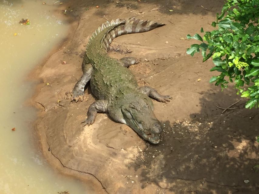 Udawalawe National Park Full Day-10 Hours All Inclusive - Common questions