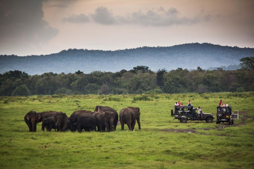 Udawalawe: National Park Safari & Elephant Transit Home Tour - Common questions