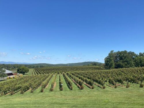 Virginia Wineries Tours: Experience Virginia Wineries - Common questions