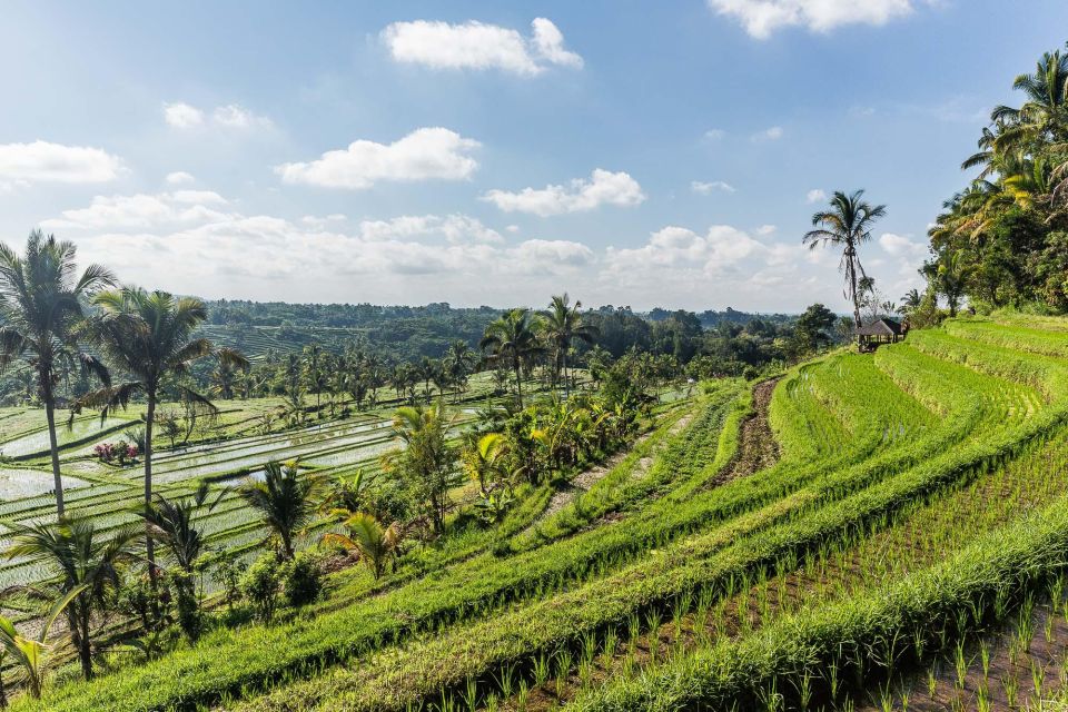 West Bali: Jatiluwih Rice Terrace and Tanah Lot Sunset Tour - Common questions