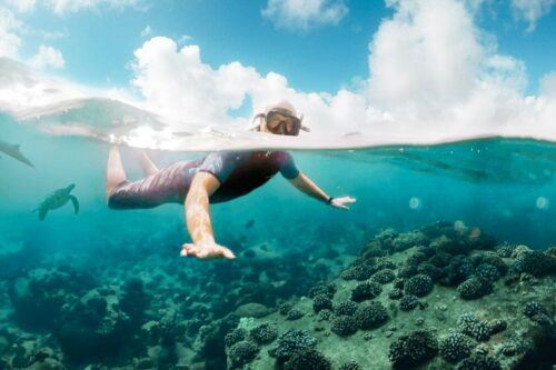 West Oahu Hawaiian Green Sea Turtle, Dolphin, & Snorkel Tour - Last Words