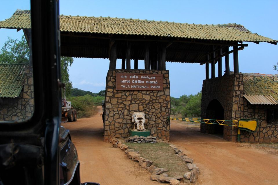 Yala National Park: Leopard Safari Day Tour From Colombo - Common questions