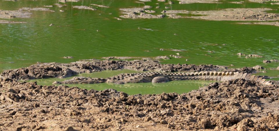 Yala National Park Wildlife Safari From Kaluthara - Common questions