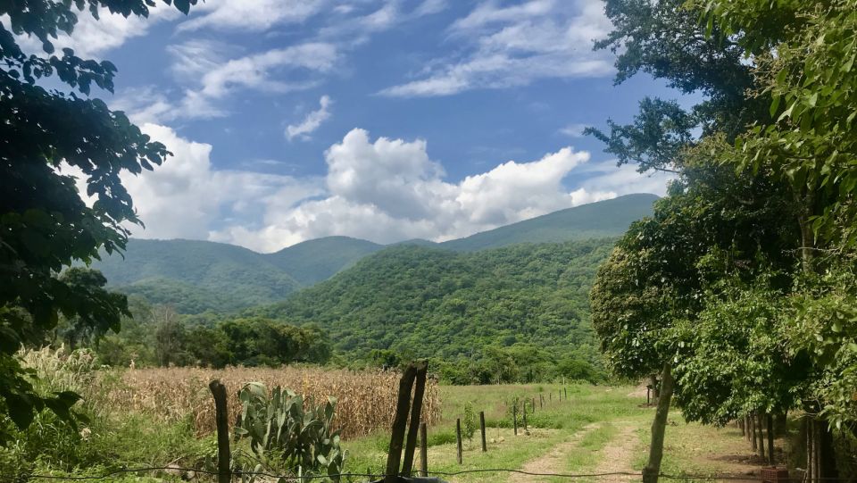 Yungas : Full Day With Gauchos - Transfer Inc. From Salta - Last Words