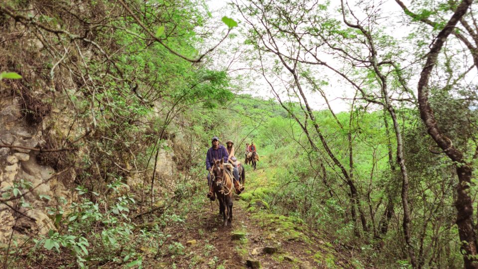 Yungas : Horseback Riding in the Jungle Picnic - Common questions