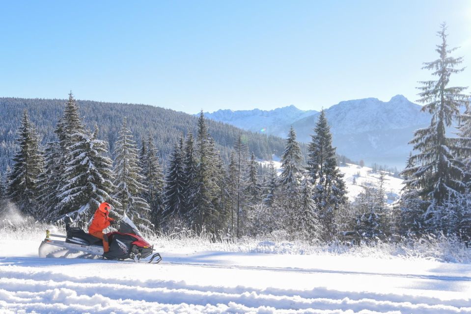 Zakopane: Snowmobiles Expedition and Optional Bonfire - Common questions