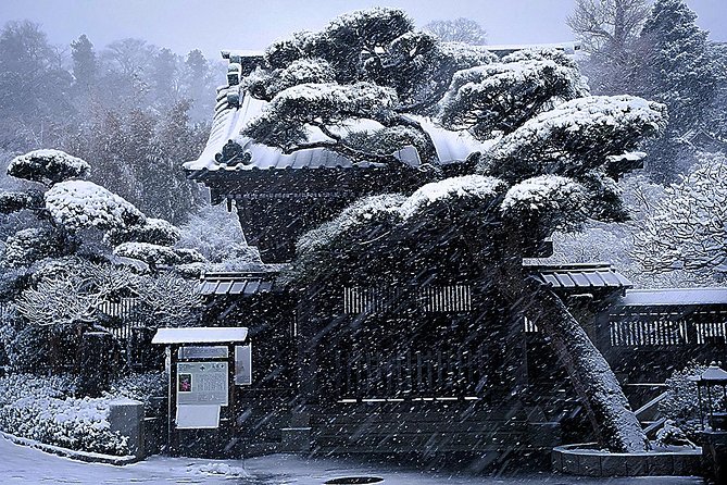 A Fun Day Out Discovering Kamakura - Just The Basics