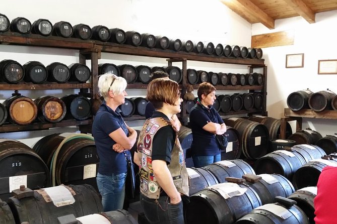 A Half-Day Private Emilia Romagna Tasting Tour From Bologna - Key Points