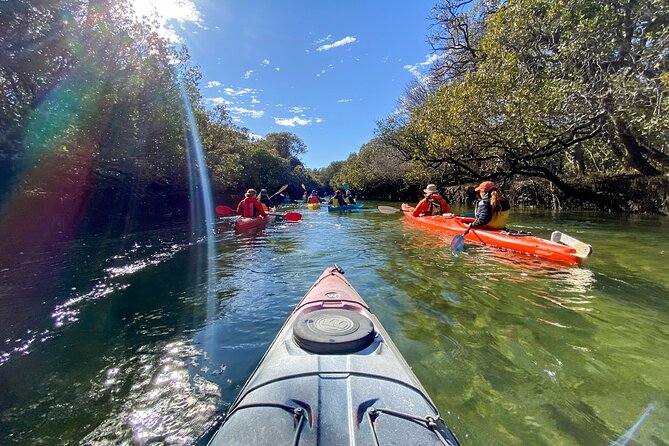 Adelaide Dolphin Sanctuary and Ships Graveyard Kayak Tour - Just The Basics