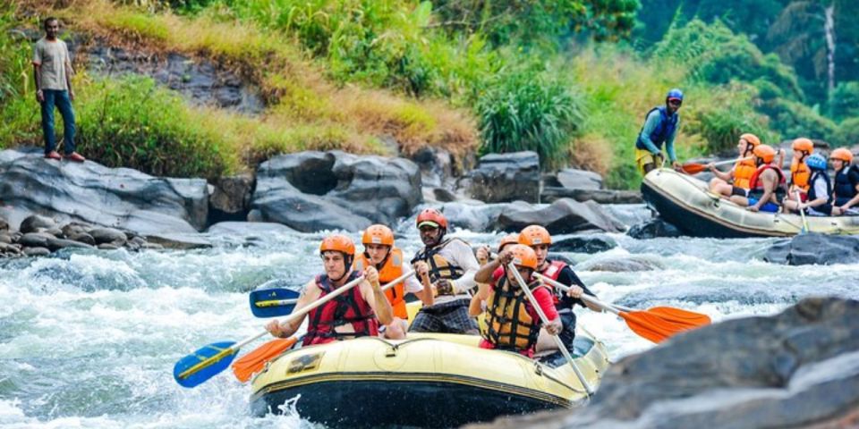 Adventure and Lunch: All-Inclusive Whitewater Rafting - Key Points