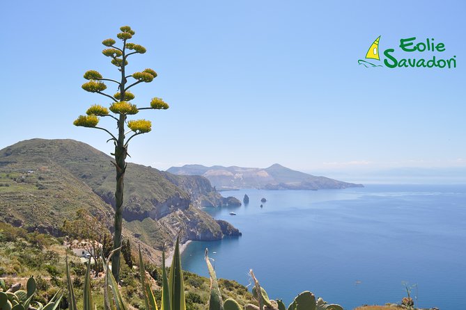 Aeolian Islands Speedboat Cruise From Tropea - Just The Basics