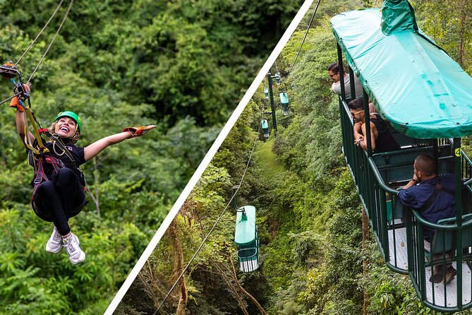 Aerial Tram and Zipline Tour Jacó Rainforest Adventures - Key Points