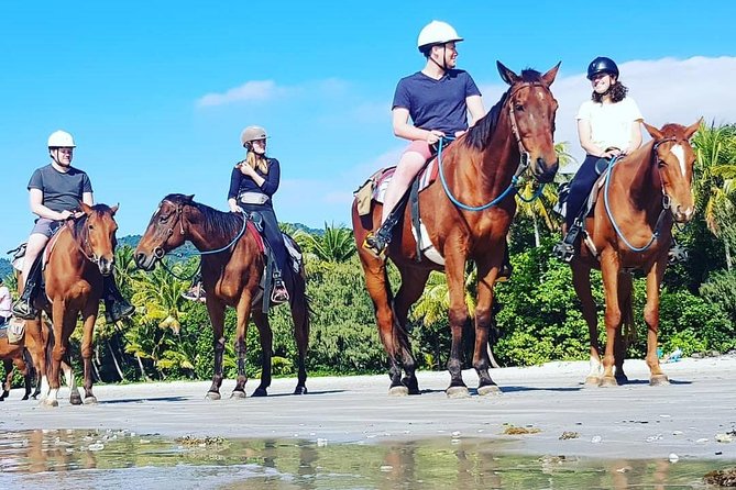Afternoon Beach Horse Ride in Cape Tribulation - Just The Basics