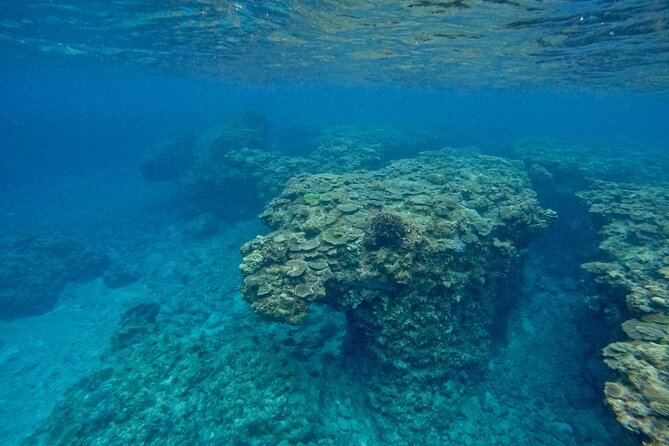 Afternoon Half Day Snorkel Trip in Naha - Key Points