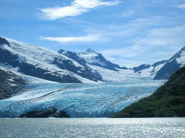 Afternoon Wilderness, Wildlife, Glacier Experience From Anchorage - Just The Basics