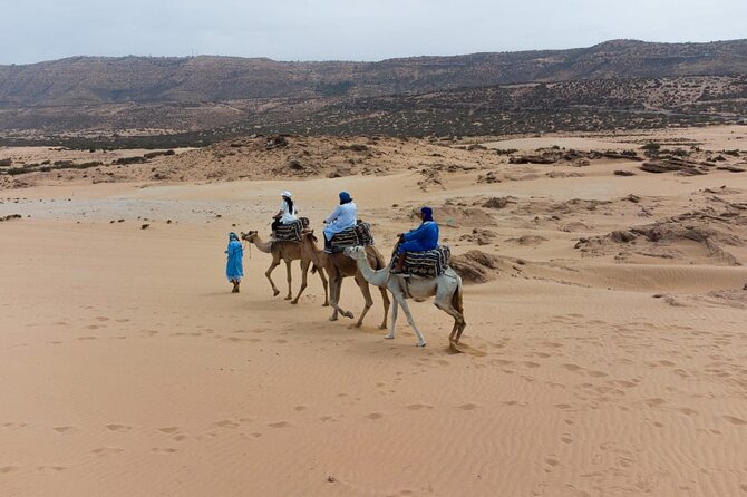 Agadir Sand Dunes and Camel Ride in Tifnit With Lunch - Key Points