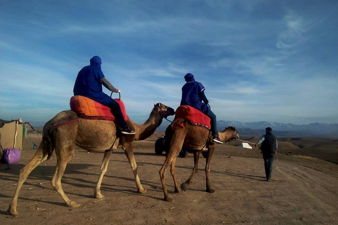 Agafay Half Day Rocky Desert Experience – Quad Bike & Camel Ride - Key Points