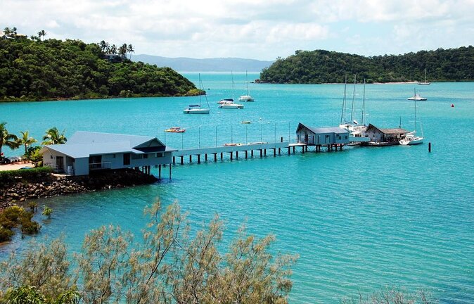 Airlie Beach Glass Bottom Boat Tour - Key Points