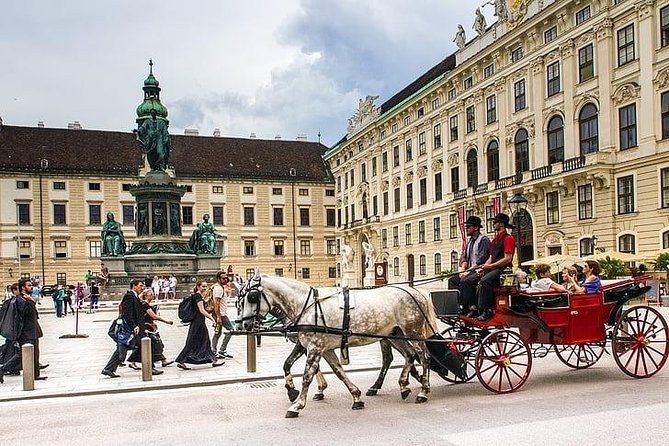 Airport Transfer: Vienna to Vienna Airport VIE by Luxury Car - Key Points