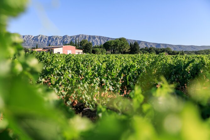 Aix-en-Provence Half-Day Wine Tour Including Tasting, Transfer (Mar ) - Key Points