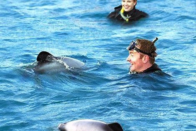 Akaroa Harbour 9-Hour Dolphin Cruise From Christchurch (Mar )