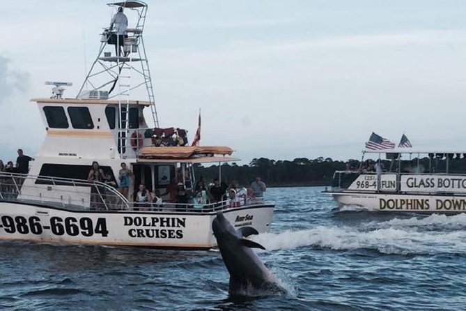 Alabama Gulf Coast Dolphin Cruise - Just The Basics