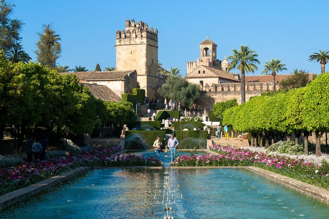 Alcazar Skip the Line Guided Tour - Key Points