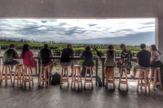 All Day, Small Group, Luxury Wine Tour With Gourmet Lunch - Key Points