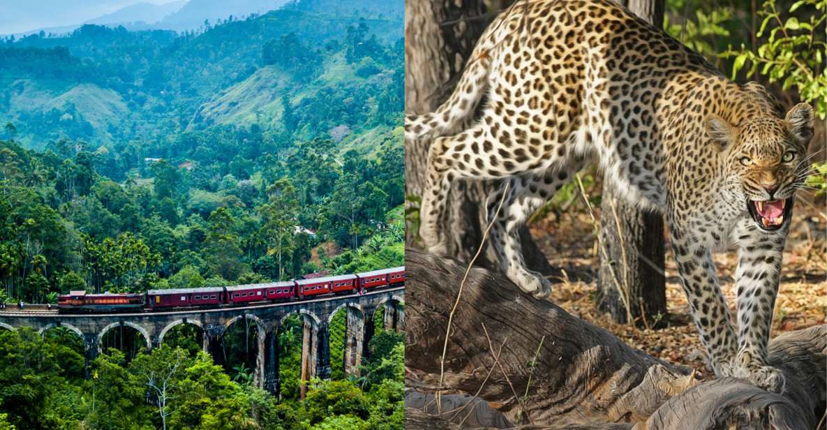 All Inclusive Ella Scenic Train Journey With Yala Safari - Key Points