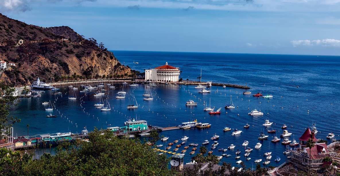 All-Inclusive Guided Tour of Catalina Island From Orange Co - Key Points