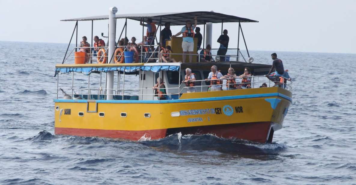 All Inclusive Mirissa Whale and Dolphin Watching Boat Ride - Experience Highlights