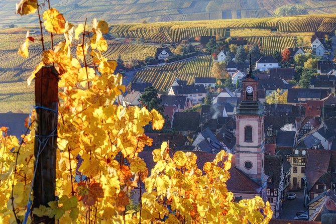 Alsace Half Day Wine Tour From Colmar - Key Points