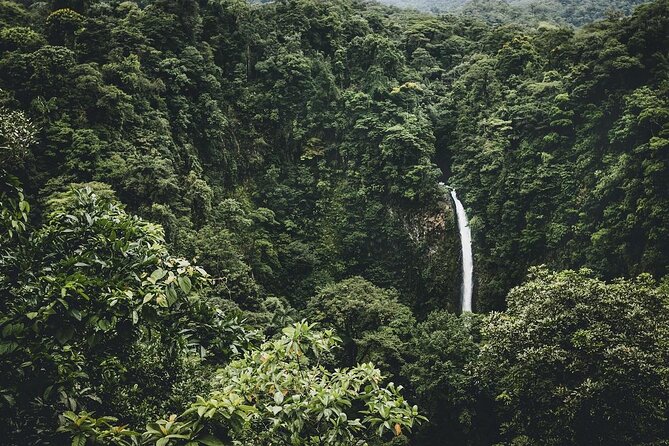 AMA Extreme 7 Zipline Cables in Arenal Above La Fortuna Waterfall - Key Points