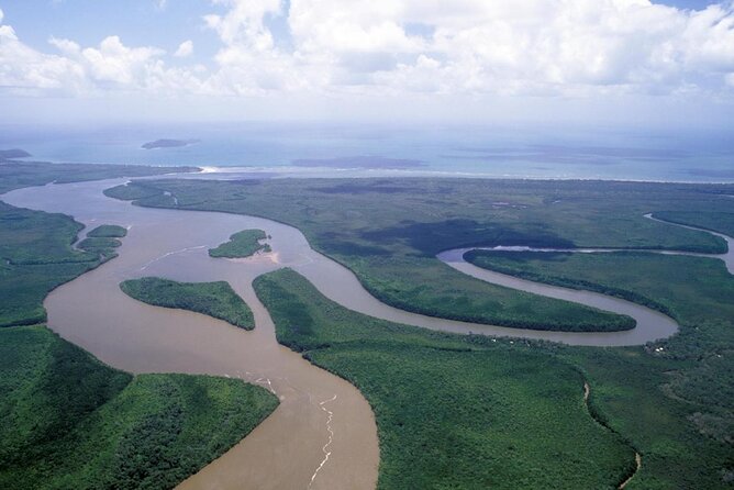 Amazing Daintree Rainforest Tour Waterfall Hike, Lunch, Swim & Crocodile Cruise - Key Points