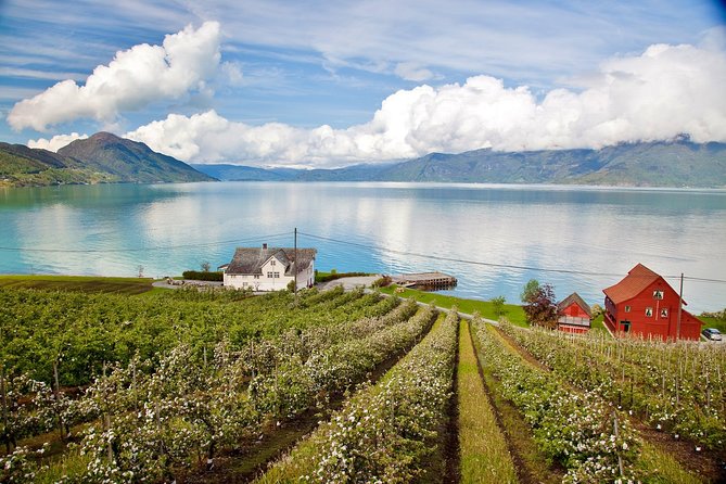 AMAZING Hardanger: Private Round Trip With Fjord Cruise – From Bergen, 11 Hours - Pickup Details