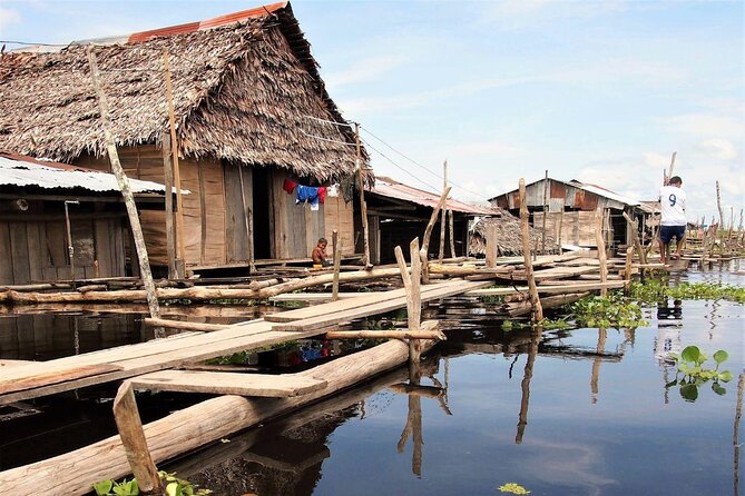 Amazon Negro River Half-Day Expedition Tour - Key Points