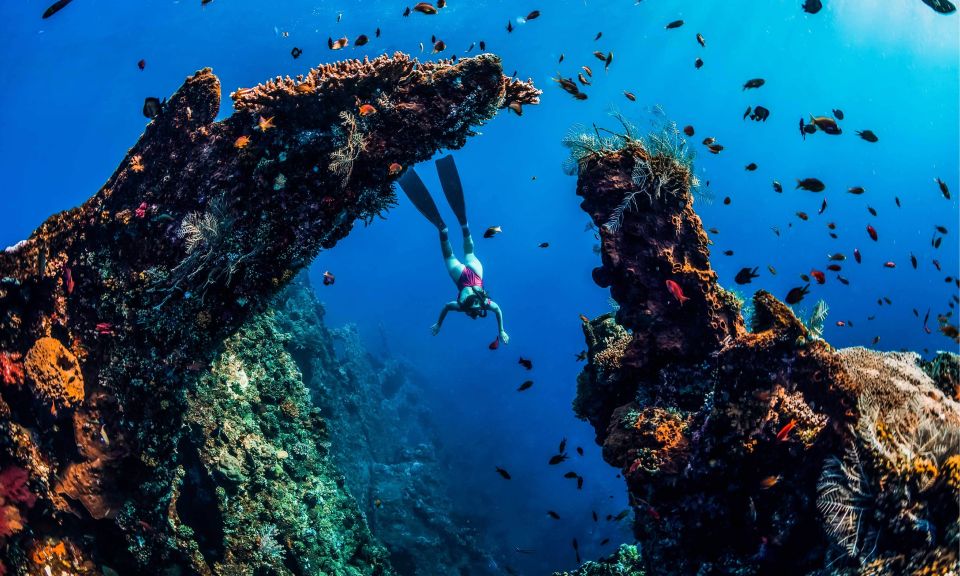 Amed: Snorkeling Trip to the Japanese Shipwreck - Key Points