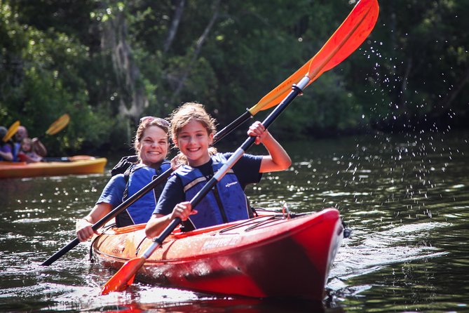 Amelia Island Guided Kayak Tour of Lofton Creek - Just The Basics