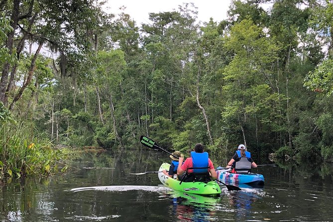 Amelia Island Kayak Self-Guided Tour  – Jacksonville