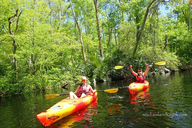 Amelia Island Kayaking Tour (Mar ) - Key Points