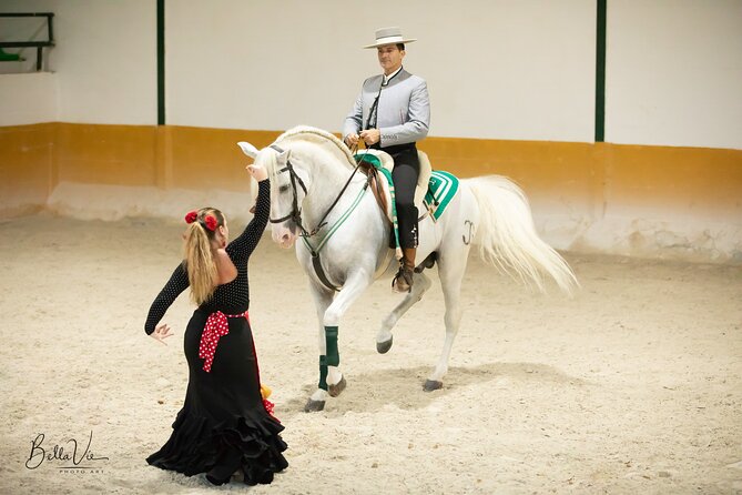 Andalusian Horses and Flamenco Show With Transportation - Key Points
