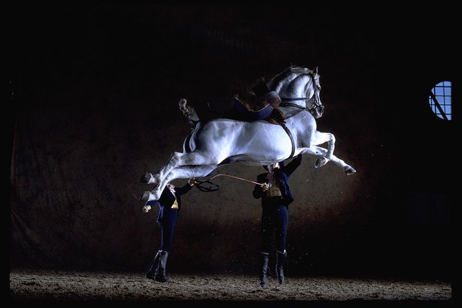 Andalusian Horses Dance Show - Just The Basics