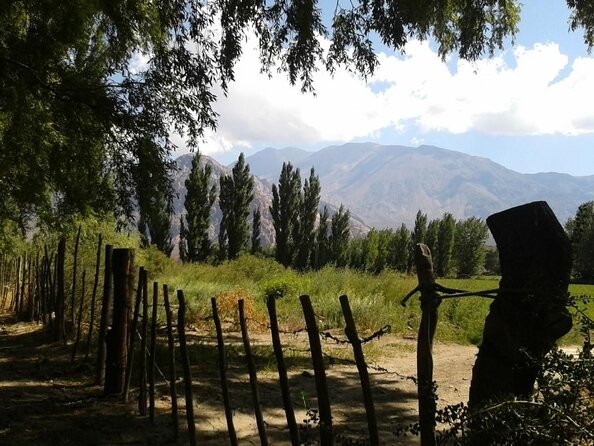 Andes Day Trip From Mendoza Including Aconcagua, Uspallata and Puente Del Inca - Key Points