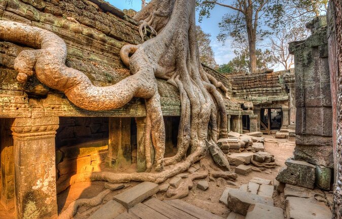 Angkor Sunrise Shared Tours, Angkor Wat, Bayon & Ta Prohm - Key Points