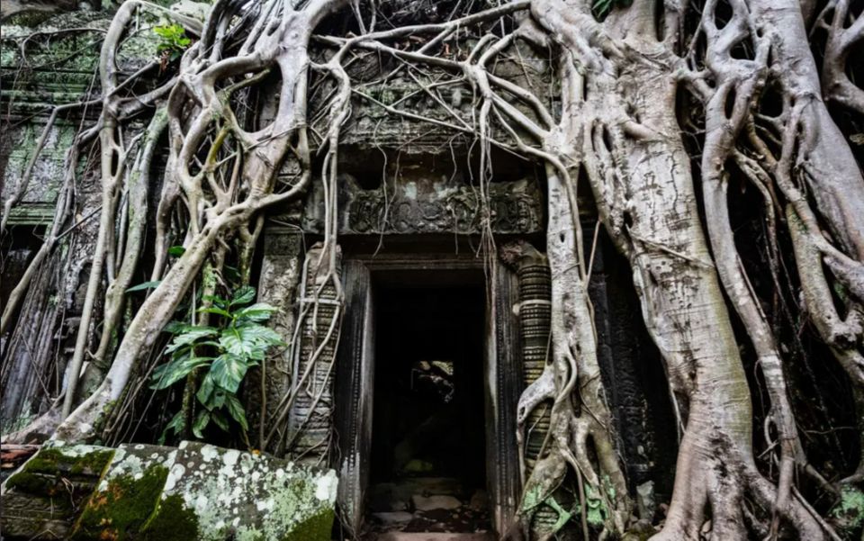 Angkor Temples Sunrise Tour With Tours Guide at Only 9/Pax - Key Points