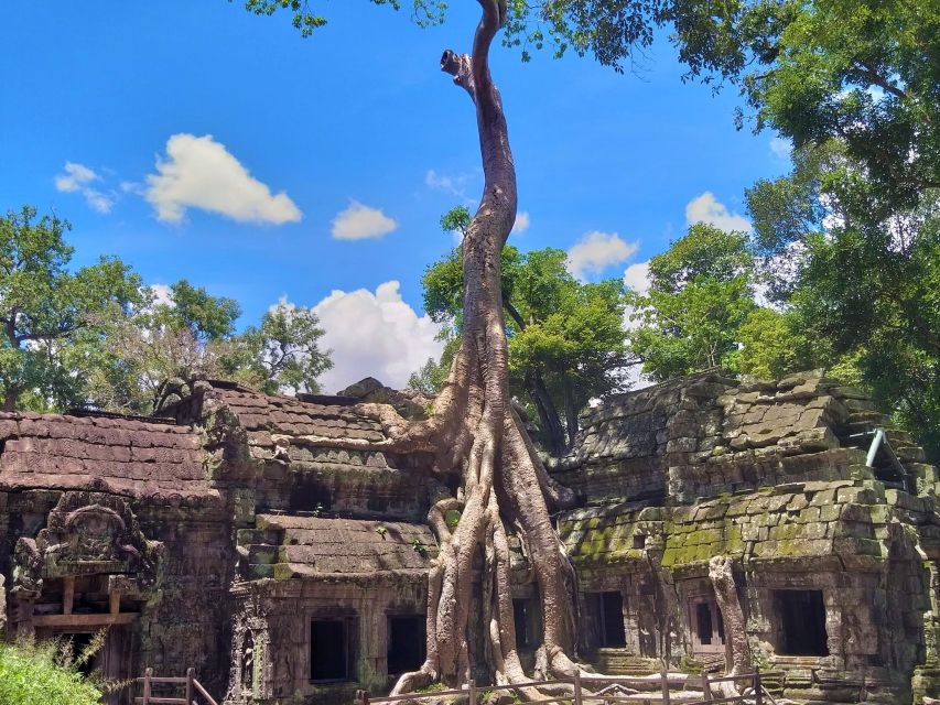 Angkor Wat Sunrise, Ta Promh, Banteay Srei, Bayon Day Tour - Key Points