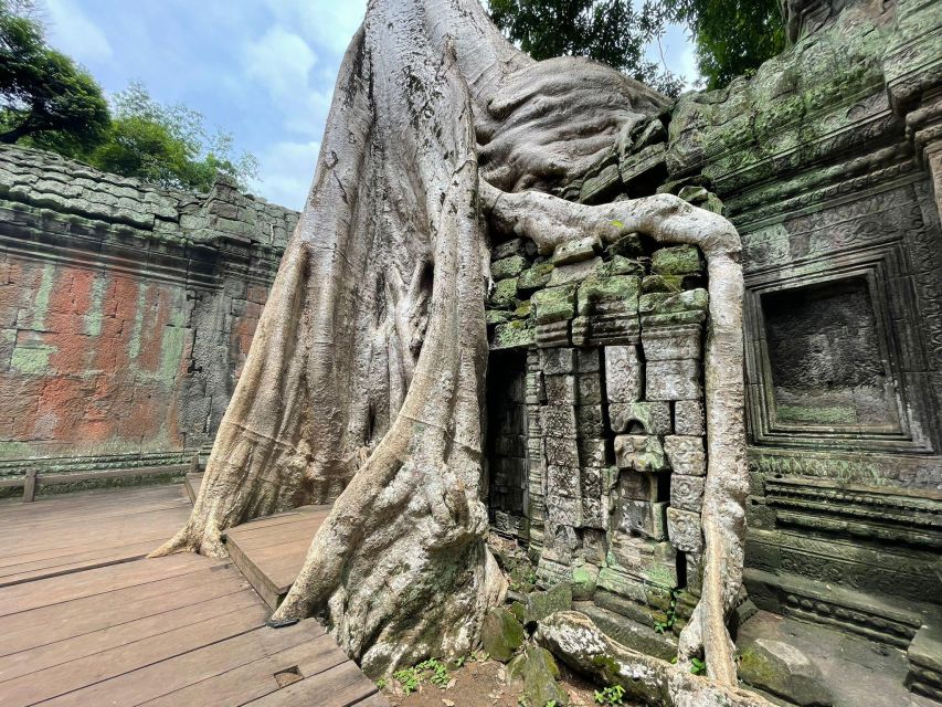 Angkor Wat Temple Full-Day Trip by Tuk-Tuk - Key Points