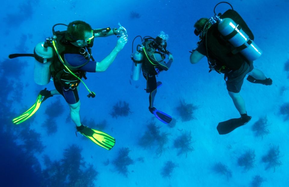 Antalya Diving Discovery: Explore the Deep Sea Secrets - Key Points
